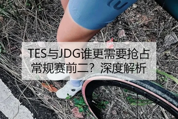 TES与JDG谁更需要抢占常规赛前二？深度解析