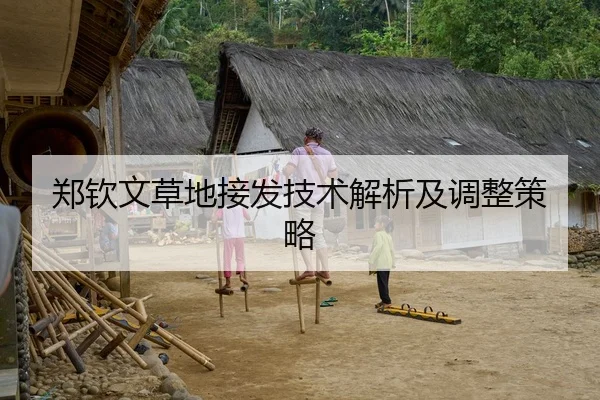 郑钦文草地接发技术解析及调整策略